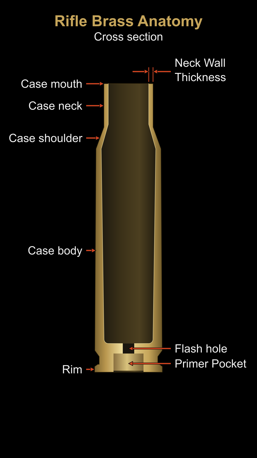 Labeled cutaway of rifle brass showing its main parts from the case mouth and neck to the primer pocket and rim.