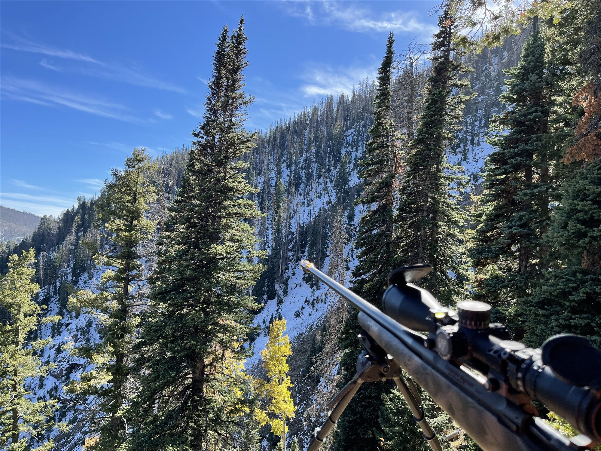 Precision rifle overlooking snowy mountain timber